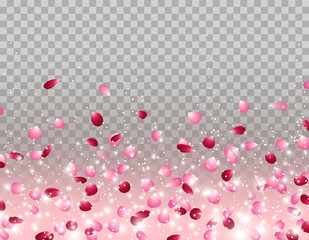 Flowers petals falling effect isolated on transparent background. Vector red and pink rose elements backdrop.