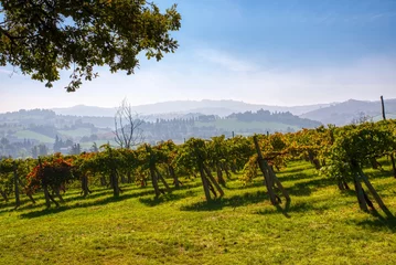 Foto auf Acrylglas Mountain vineyards © Paolo