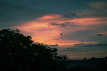 Atardacer a contraluz