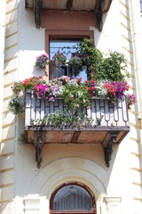 flowers on balcony