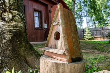 old wooden nesting box near the birch