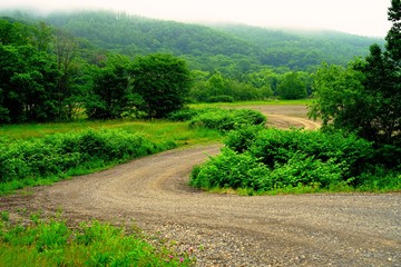 霧の山道