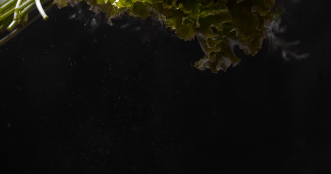
A group of many ripe cherry tomatoes, bunches of dill and lettuce fall into the water on a black background with dramatic light, creating much bubbles. Slow motion 50 FPS 4K