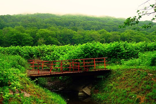 山と壊れかけた赤い橋