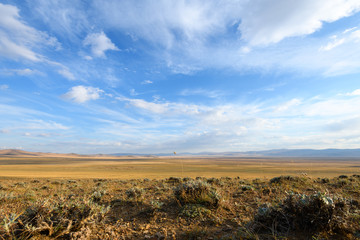 Photography of bright yellow grass field in Altai under blue sunny sky. Rural pasture landscape of autumn steppe of Siberia background. Russia, Republic Altai