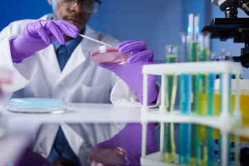 Close up of young African-American man holding petri dish sample while working on medical research in laboratory, copy space