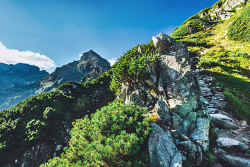 Hiking trail in Tatra mountains in Poland. Toward Koscielec peak © Photocreo Bednarek