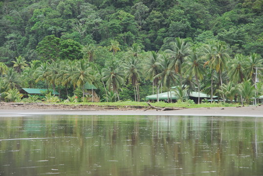 C&ocirc;te Pacifique