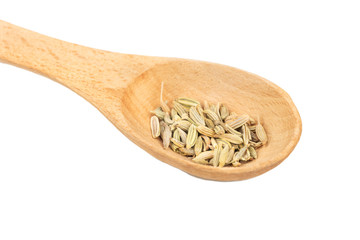 Dry fennel in spoon