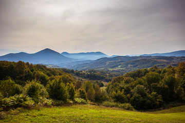 Obraz premium First autumn colors in early fall on mountain at cloudy day. Mountain near the Banja Luka in Bosnia and Herzegovina.