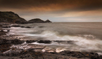A dog and a long exposure at Bracelet Bay on the Gower peninsula in Swansea, South Wales, UK