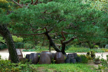 Seongeup Folk Village located in Jeju Island, South Korea.