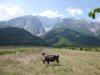 Fototapeta premium Landschaft Region Permet