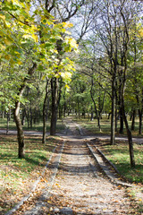Yssentuki park