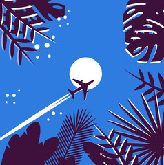 The plane flies in the night sky against the background of the moon. View through tropical leaves