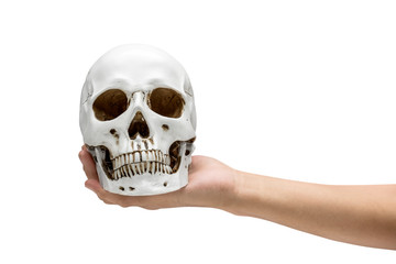 Hand holding human skull