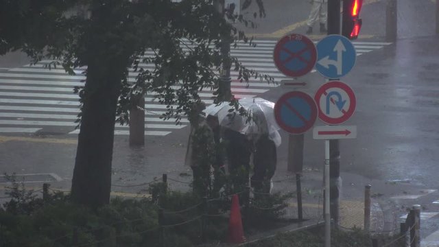 TOKYO,JAPAN - 12 OCTOBER 2019 : Powerful Typhoon Hagibis made landfall. Heaviest rain and winds in 60 years. Government issued highest level of disaster warning. View around Shibuya scramble crossing.