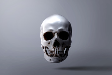 Human skull