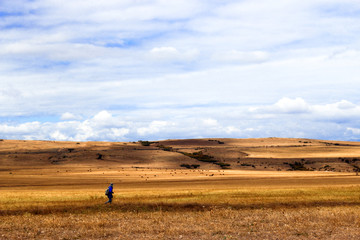 Obraz premium Sunny yellow valley, mountains, cloudy sky and traveler silhouette.