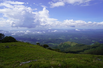 Fototapeta premium #Nature #wildlife #Nilgiris# Mountains# valleys #Go green