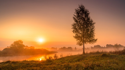 Misty orange sunrise over the river with lonely tree. Seasonal autumn colors