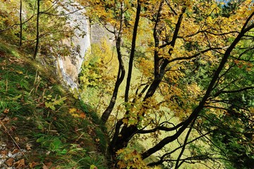 Herbst im Alpstein, Appenzellerland, Ostschweiz