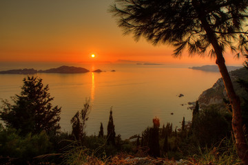 Fototapeta na wymiar Beautiful sunset with tree silhouette on Porto Timony beach - Corfu, Greece, Europe. HD wallpaper, 4K background. Illustrative content - vacation, holiday theme.