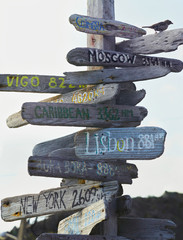 Close up of a nautical mileage milepost with directional distance signs to worldwide cities and countries, made out of driftwood with a sparrow sitting on top at the Azores Islands.