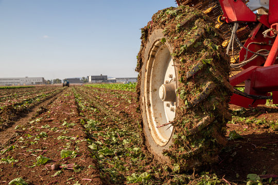 Agriculture. Tractor Wheel covered in mud, while plowing field in the background.