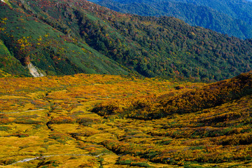 Naklejka premium 月山牛首下