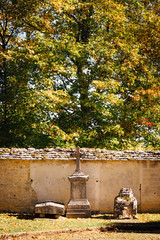 Un cimetière durant l'automne. Des tombes devant un arbre automnal. Une scène nostalgique.