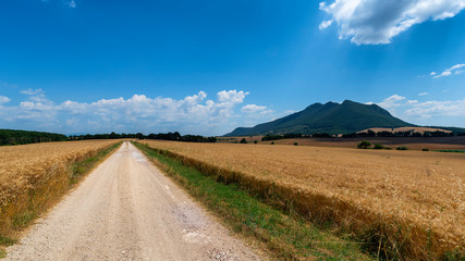 Fototapeta na wymiar Rural landscape in the Rome province