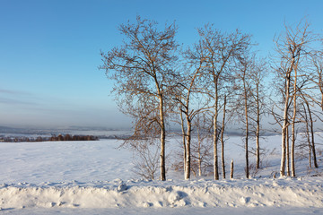 Winter landscape. Cold day.