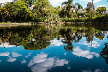 Reflection in a lake