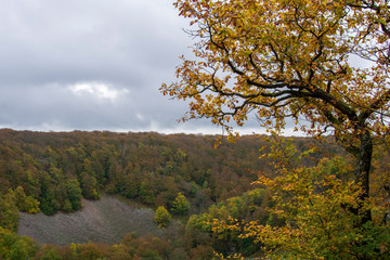 autumn landscape with trees and blue sky