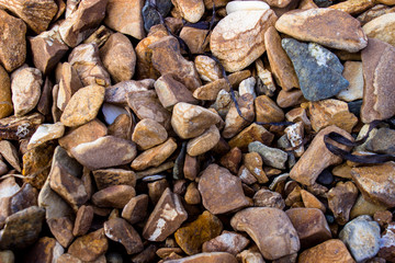 Sea shore with beautiful stones and glass.