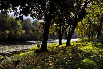 Old park in the fall