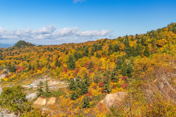 Obraz premium Towada Hachimantai National Park in early autumn