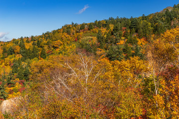 Towada Hachimantai National Park in early autumn