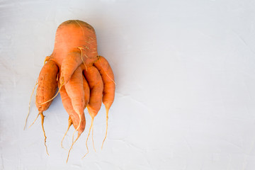 Ugly carrot. Natural organic vegetables on grey concrete background. The concept of using...
