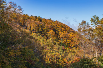 Towada Hachimantai National Park in early autumn