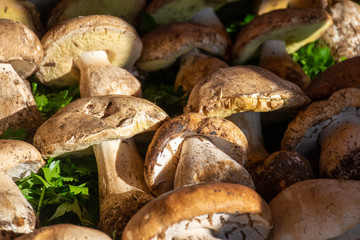 wild Mushrooms at market