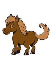 Pony Pferd spass baby po Mädchen jungs süss lieb springen spielen freuen frech lächeln 3c