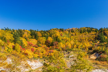 Towada Hachimantai National Park in early autumn