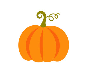 Pumpkin icon. - 295830807