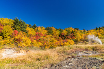 Fototapeta premium Towada Hachimantai National Park in early autumn