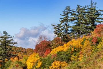 Fototapeta premium Towada Hachimantai National Park in early autumn