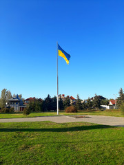 Fototapeta premium flag of ukraine green grass