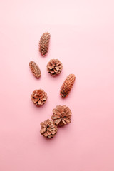 Autumn composition. Christmas pine cones on pink background.