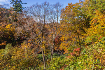 Towada Hachimantai National Park in early autumn